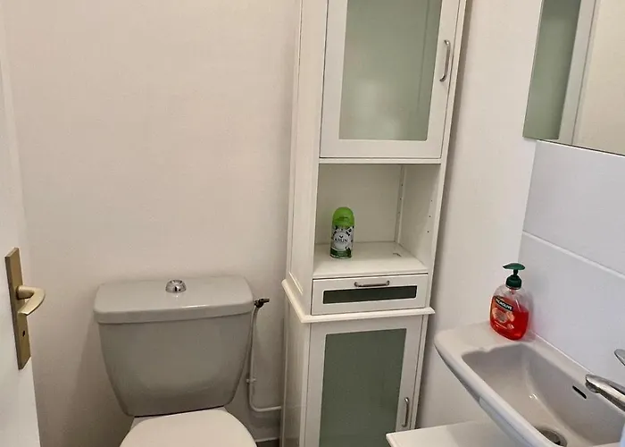 Avec Entree Independante, Sdb Privative, Piscine Et Grand Garage Et Proche Hyper-centre * Le Mans